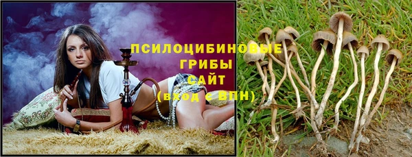 хмурый Касимов