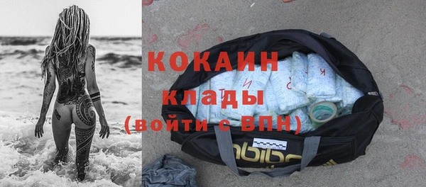 трава Коряжма
