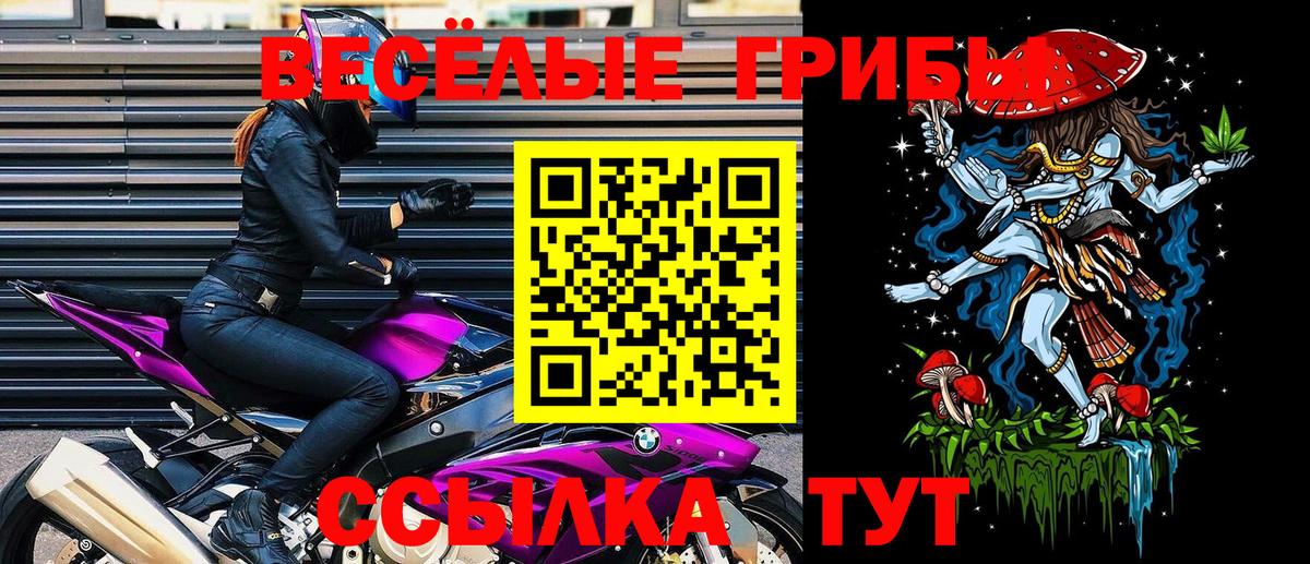 Псилоцибиновые грибы прущие грибы Бугульма