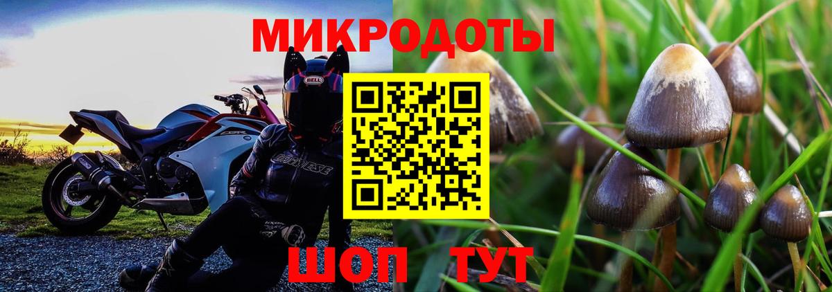 Псилоцибиновые грибы MAGIC MUSHROOMS  купить наркотики сайты  Псилоцибиновые грибы ЛСД  Бугульма 