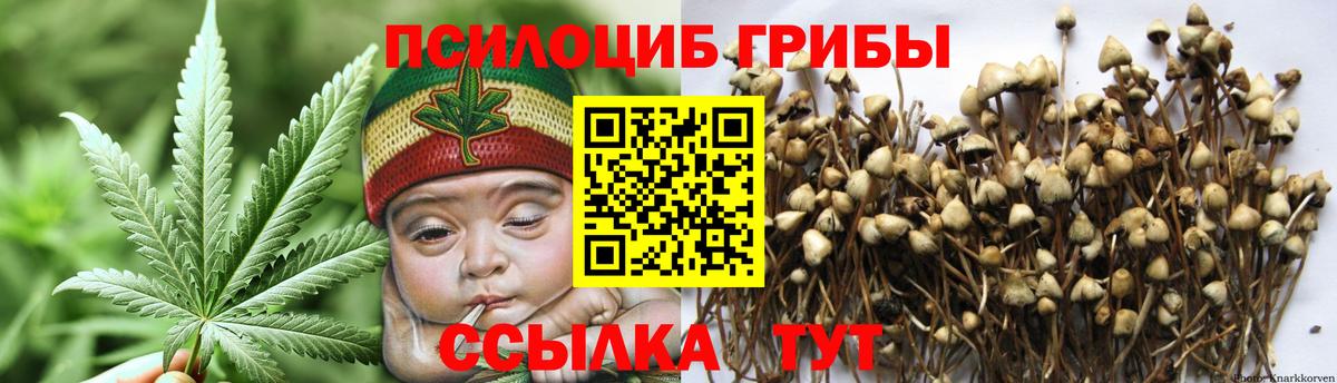 Галлюциногенные грибы ЛСД  Галлюциногенные грибы MAGIC MUSHROOMS  Бугульма  Вход с VPN 